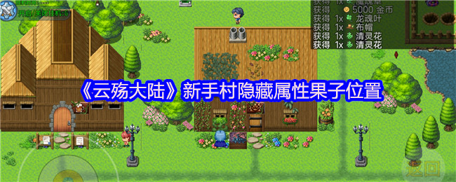 《云殇大陆》新手村隐藏属性果子位置