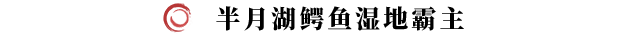 《剑灵2》铁颚钢鳞之主打法攻略