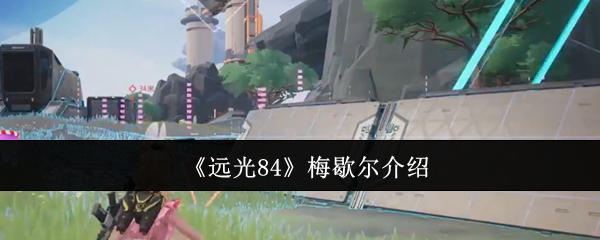 《远光84》梅歇尔介绍