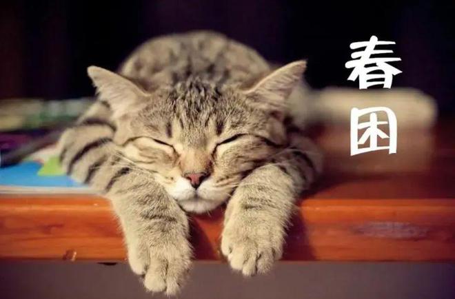 想要缓解春困，以下哪种方法更有效