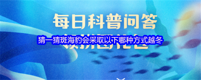猜一猜斑海豹会采取以下哪种方式越冬