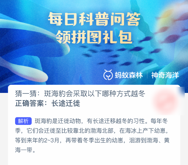 猜一猜斑海豹会采取以下哪种方式越冬