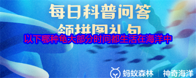 以下哪种龟大部分时间都生活在海洋中