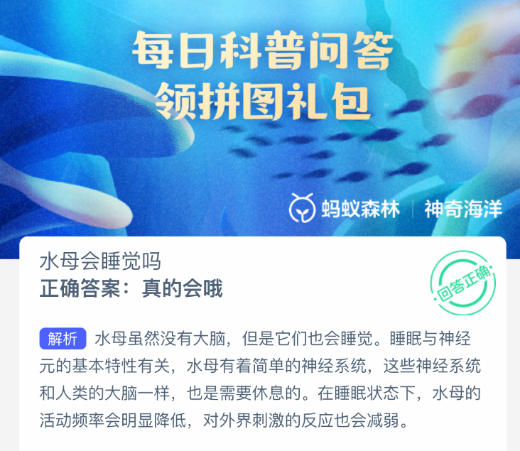 水母会睡觉吗