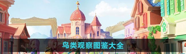 《心动小镇》鸟类观察图鉴大全