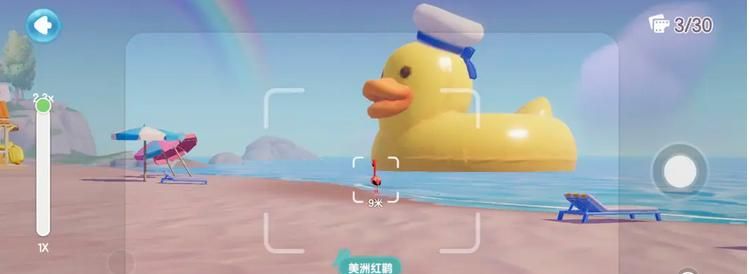 《心动小镇》鸟类观察图鉴大全
