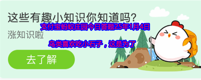 鸟类喜欢吃小石子，这是为了