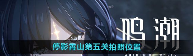 《鸣潮》停影霄山第五关拍照位置一览
