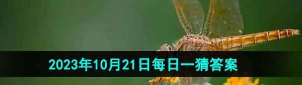  《淘宝》丹枫迎秋季2023年10月21日每日一猜答案