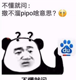 你个撒不溜pipo最新表情包大全分享