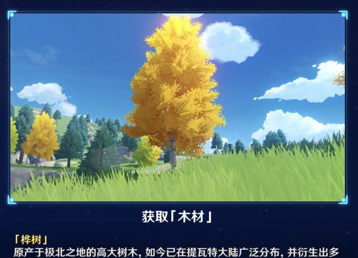《原神》桦木分布位置一览