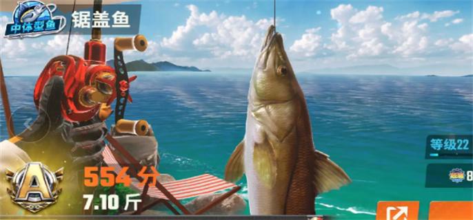 欢乐钓鱼大师鱼类图鉴大全图十