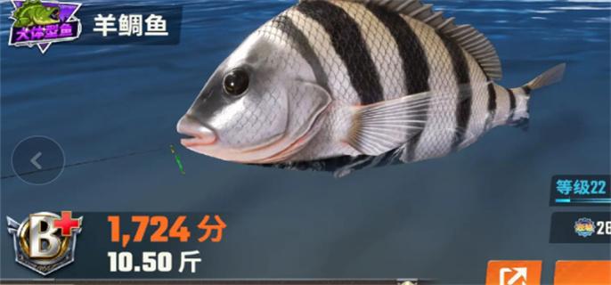 欢乐钓鱼大师鱼类图鉴大全图九