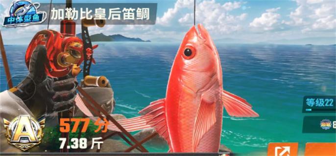 欢乐钓鱼大师鱼类图鉴大全图十一