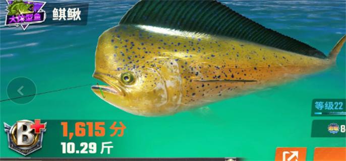 欢乐钓鱼大师鱼类图鉴大全图十四