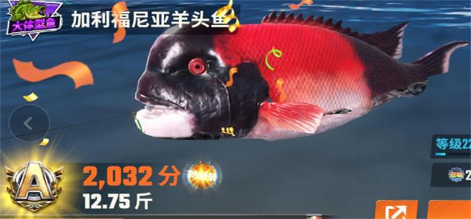 欢乐钓鱼大师鱼类图鉴大全图十五