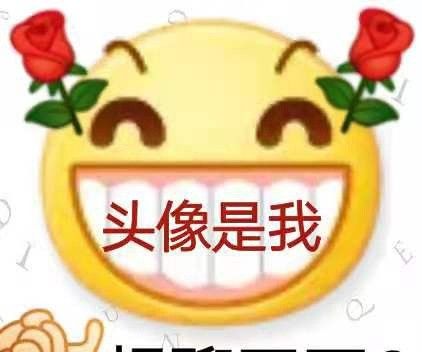 丫头文学系列表情包大全