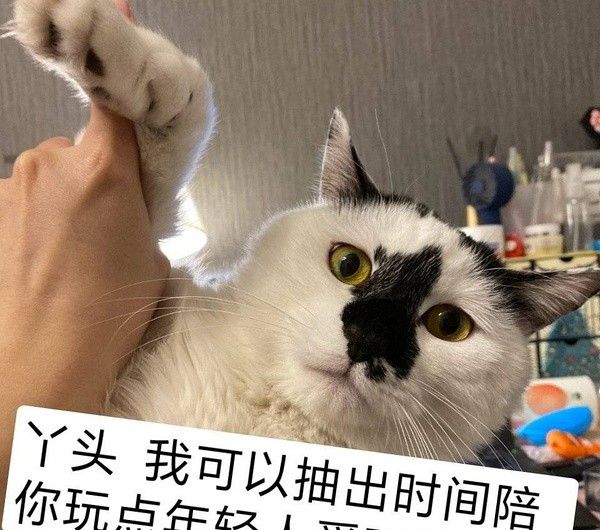 丫头文学系列表情包大全