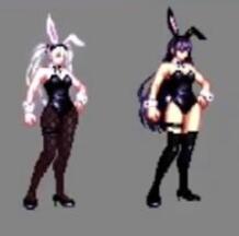 《dnf》兔女郎时装外观全职业2025最新一览4