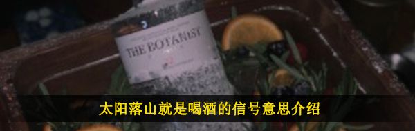 太阳落山就是喝酒的信号梗的含义及出处介绍