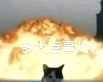 《抖音》当代易碎大学生梗的意思介绍