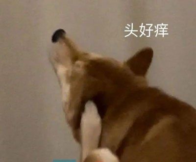 《抖音》当代易碎大学生梗的意思介绍