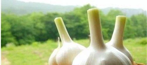 2021《支付宝》蚂蚁庄园1月26日每日一题答案（3）