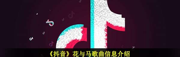 《抖音》花与马歌曲信息介绍