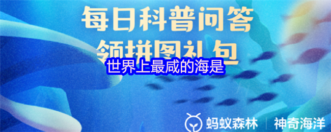 世界上最咸的海是