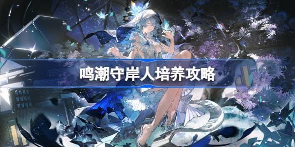鸣潮守岸人*培养推荐