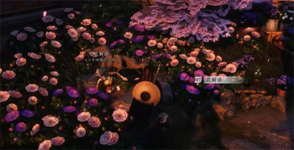 燕云十六声海棠醉梦任务攻略分享