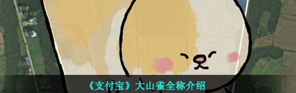 《支付宝》大山雀全称介绍