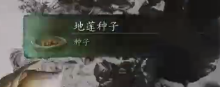 《黑神话悟空》地莲种子获取方法