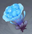 原神海灵芝