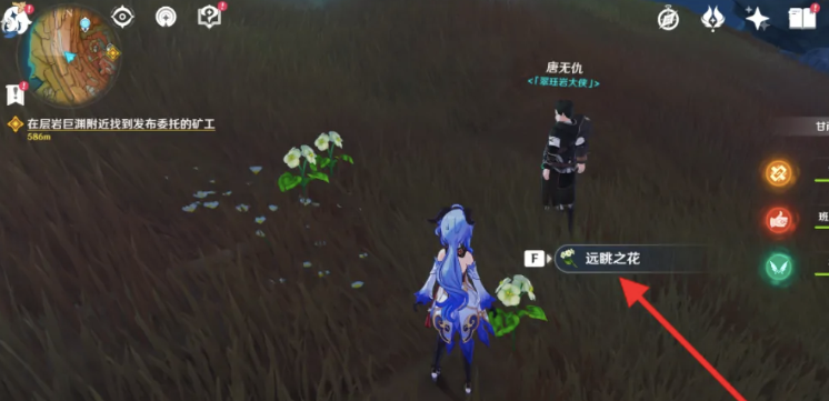 远望之花2
