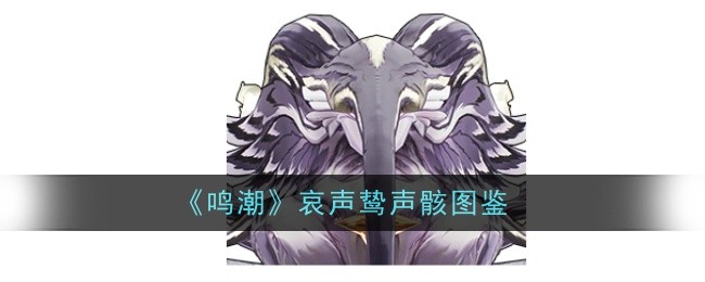鸣潮哀声鸷声骸怎么样-声骸图鉴