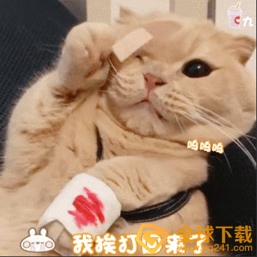 《抖音》互联网嘴替梗的介绍