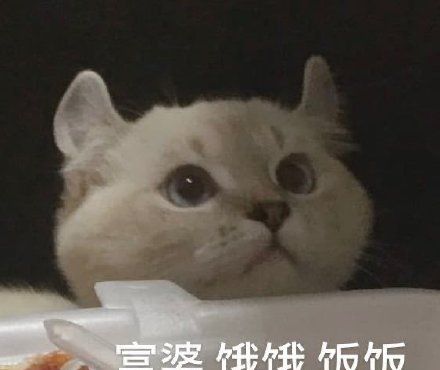 饿饿饭饭最新热门表情包大全分享
