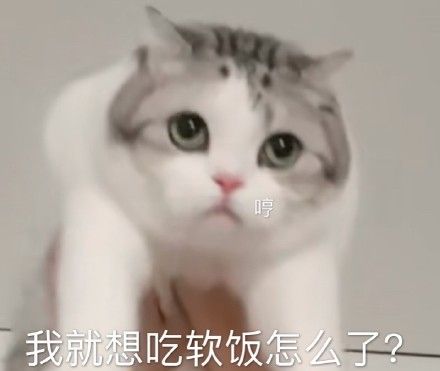 饿饿饭饭最新热门表情包大全分享