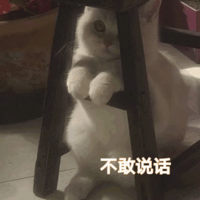 ​《抖音》厕妹梗的介绍