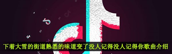 《抖音》下着大雪的街道熟悉的味道变了没人记得没人记得你歌曲介绍