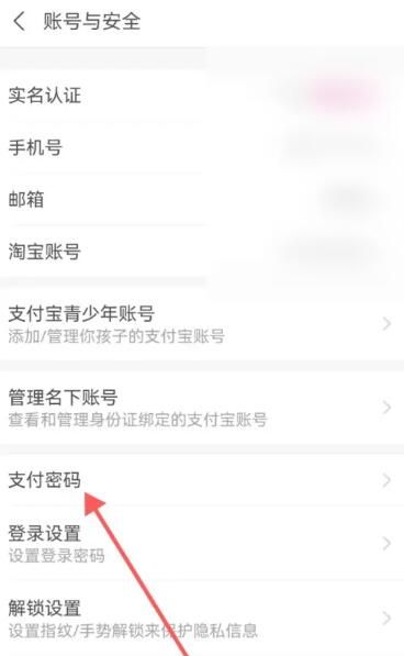 《支付宝》密码设置方法