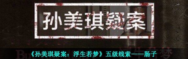 《孙美琪疑案：浮生若梦》五级线索——肠子