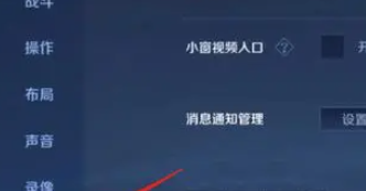 《王者荣耀》V10皮肤共享限制条件