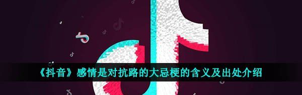 《抖音》感情是对抗路的大忌梗的含义及出处介绍