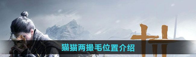 《燕云十六声》猫猫两撮毛位置介绍