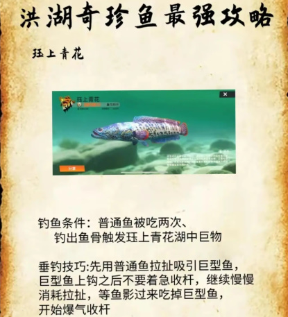 《欢乐钓鱼大师》洪湖最后两条鱼在哪