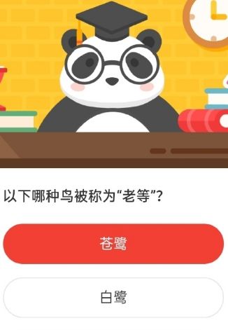 2021《微博》2月2日森林驿站每日一题答案