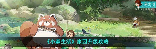 《小森生活》家园升级攻略