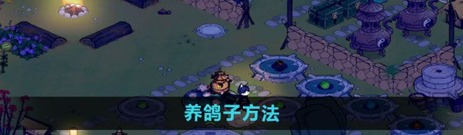 《仙山小农》养鸽子方法